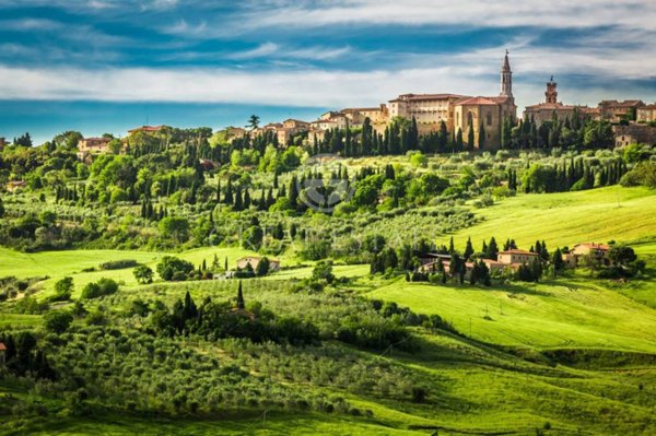 casa indipendente in vendita a Pienza