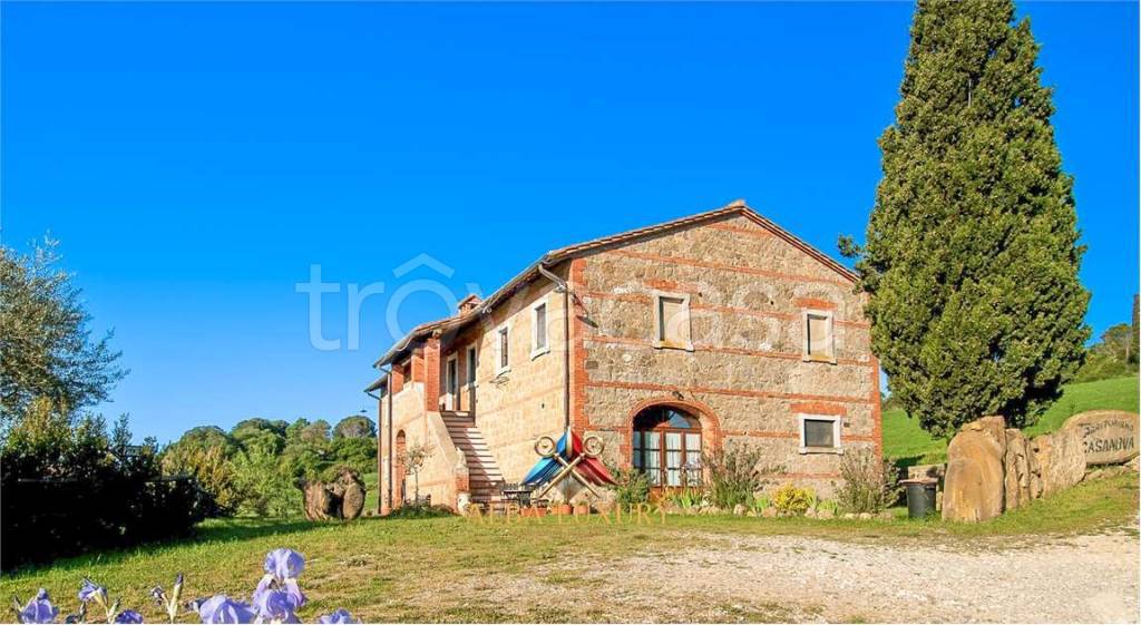 casa indipendente in vendita a Pienza