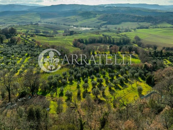 terreno agricolo in vendita a Pienza