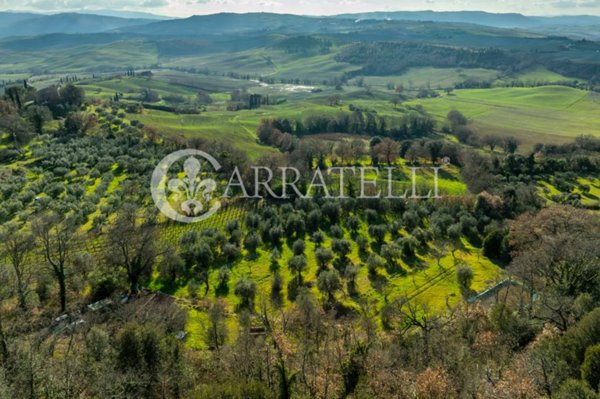 terreno agricolo in vendita a Pienza in zona Monticchiello
