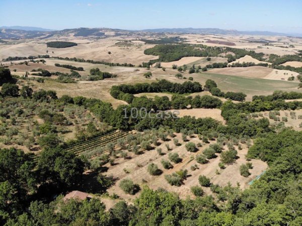 terreno agricolo in vendita a Pienza