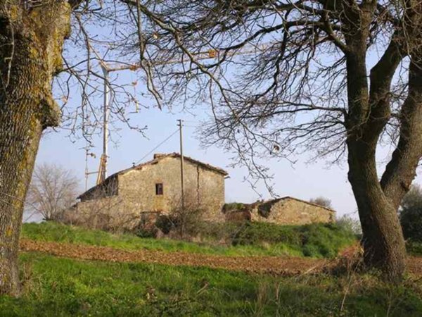 casa indipendente in vendita a Pienza