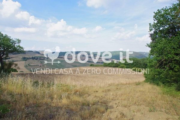 terreno agricolo in vendita a Pienza