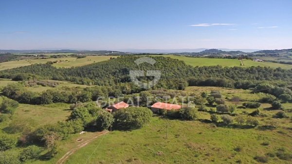 casa indipendente in vendita a Pienza