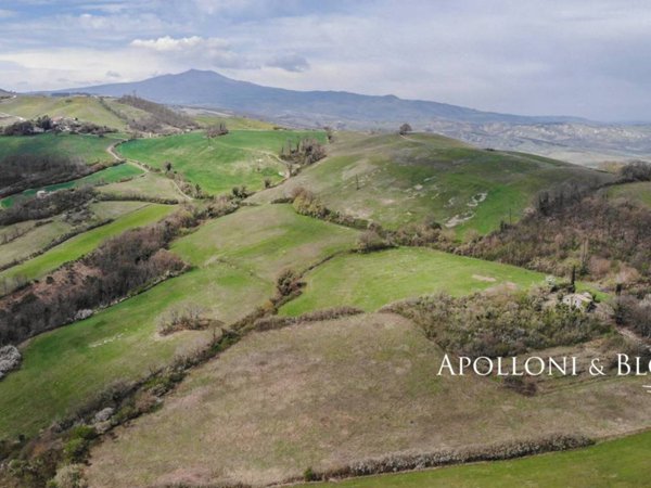 terreno agricolo in vendita a Pienza