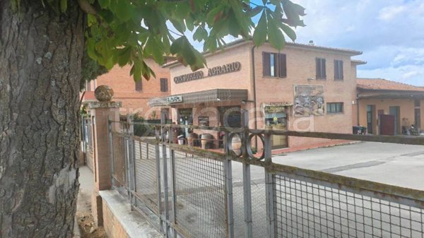negozio in vendita a Pienza