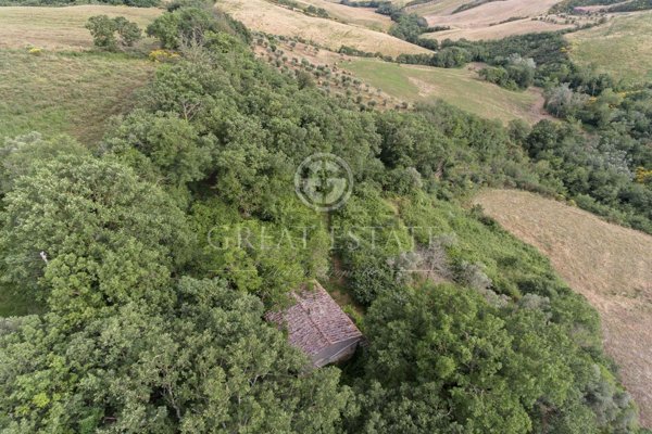 casale in vendita a Pienza