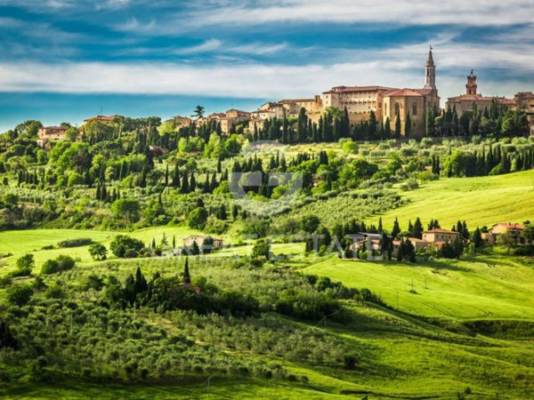 casa indipendente in vendita a Pienza