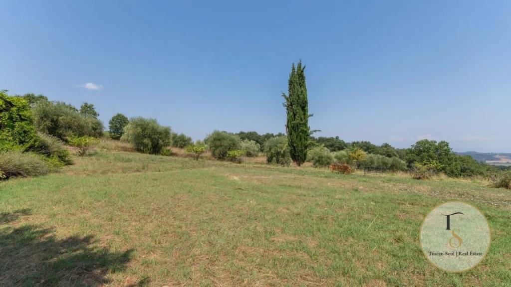 terreno agricolo in vendita a Pienza