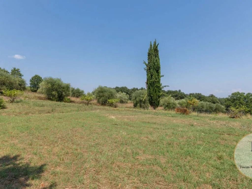 terreno agricolo in vendita a Pienza