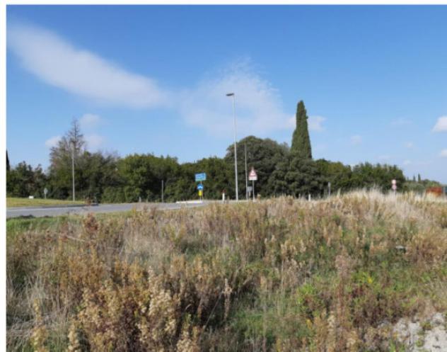terreno agricolo in vendita a Pienza