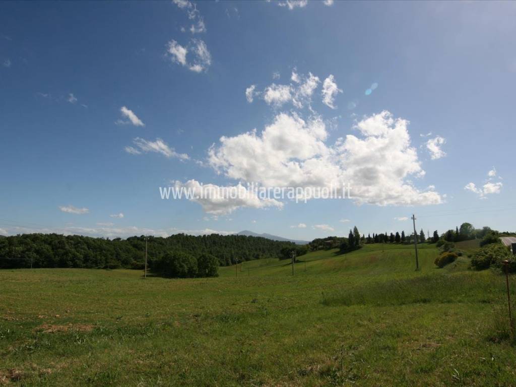 terreno agricolo in vendita a Pienza