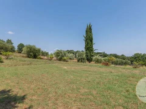 terreno agricolo in vendita a Pienza