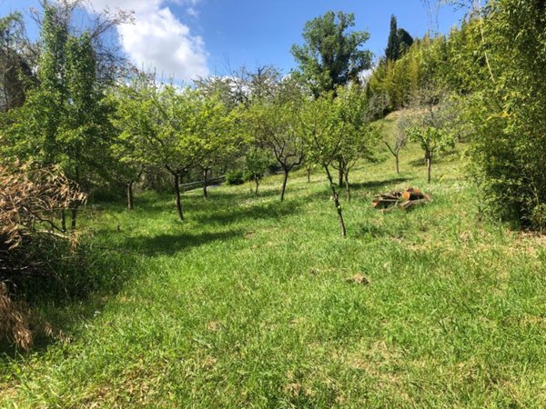 terreno agricolo in vendita a Poggibonsi in zona Bellavista