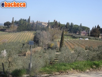 terreno agricolo in vendita a Poggibonsi