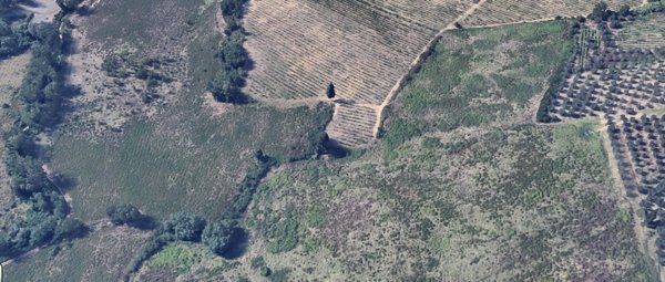 terreno agricolo in vendita a Poggibonsi