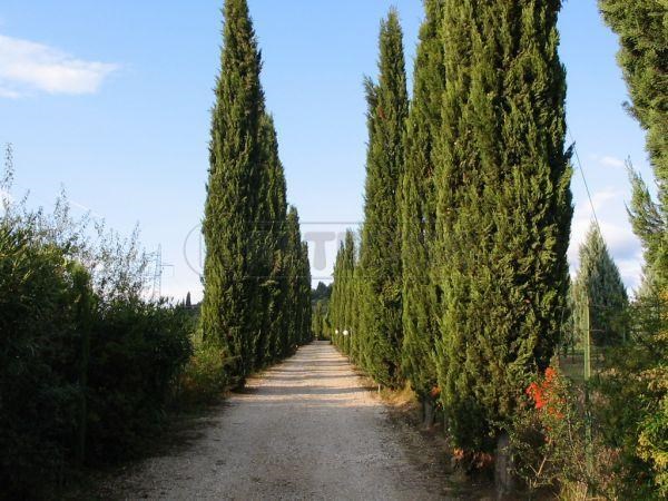 casa indipendente in vendita a Poggibonsi
