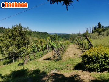 terreno agricolo in vendita a Poggibonsi in zona Staggia Senese