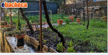 appartamento in vendita a Poggibonsi