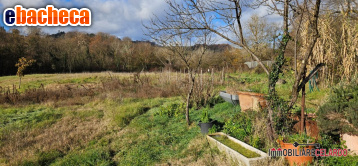 terreno agricolo in vendita a Poggibonsi in zona Staggia Senese