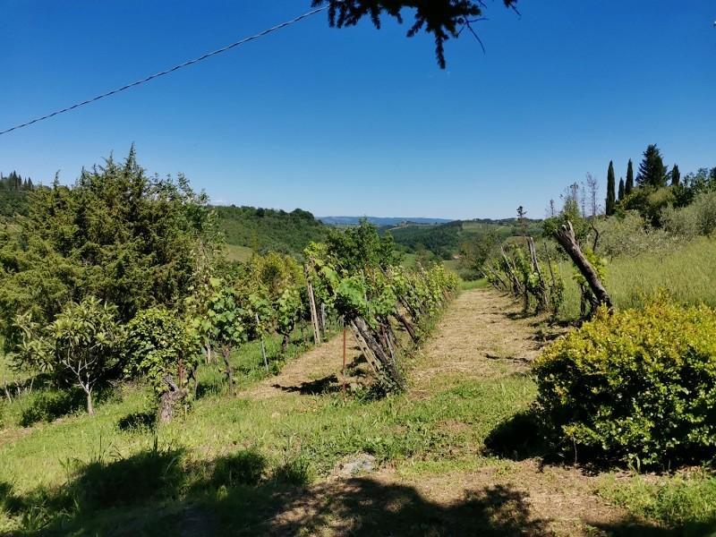 terreno agricolo in vendita a Poggibonsi in zona Staggia Senese