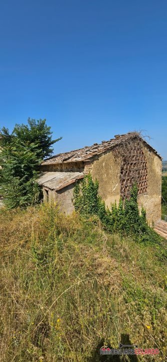 azienda agricola in vendita a Poggibonsi