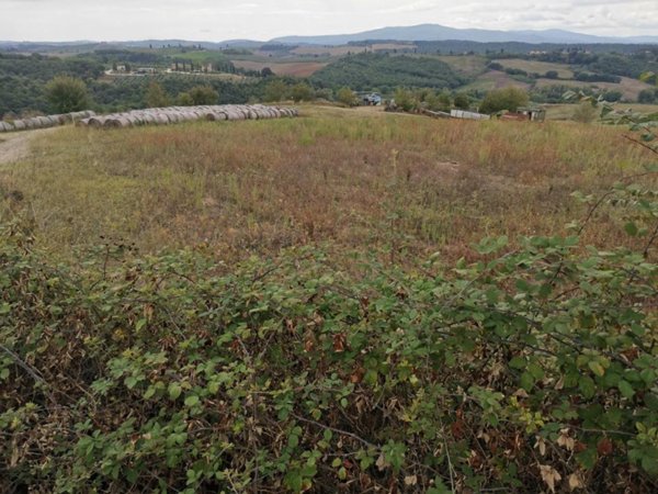 terreno agricolo in vendita a Poggibonsi