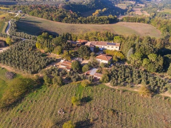 negozio in vendita a Poggibonsi