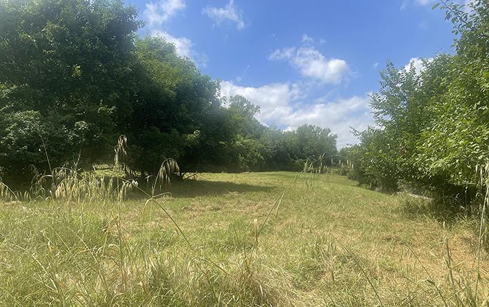 terreno agricolo in vendita a Poggibonsi in zona Staggia Senese