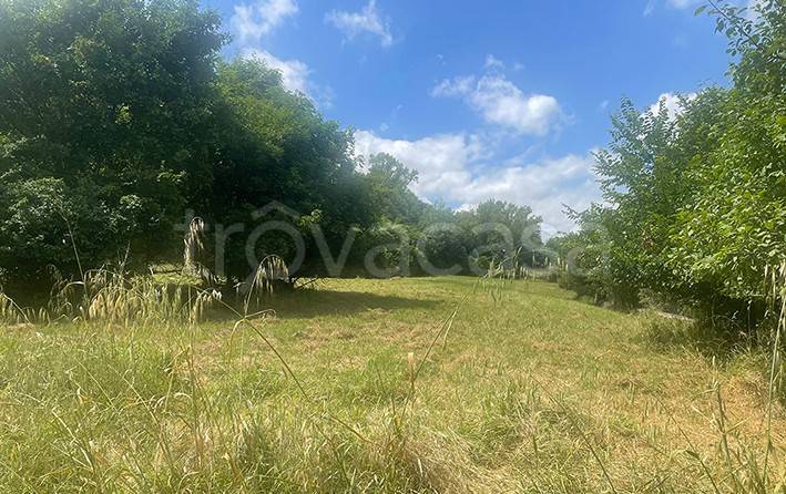 terreno agricolo in vendita a Poggibonsi in zona Staggia Senese