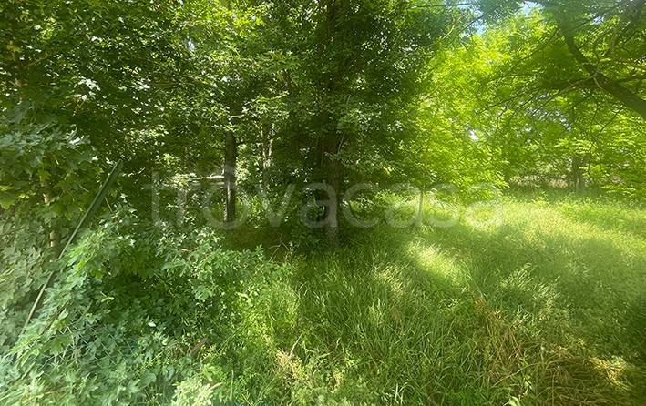 terreno agricolo in vendita a Poggibonsi