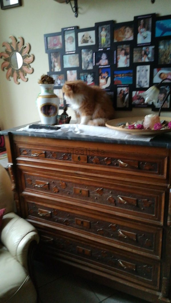 appartamento in vendita a Poggibonsi