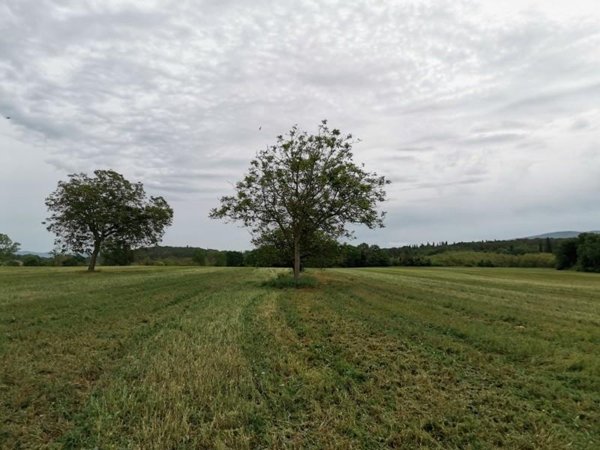 terreno agricolo in vendita a Poggibonsi