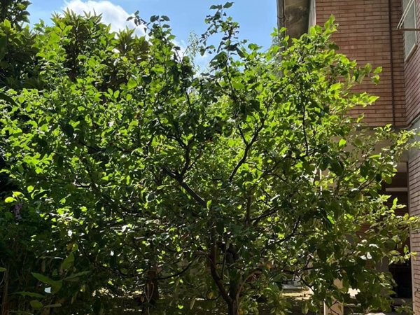 casa indipendente in vendita a Poggibonsi in zona Centro Storico