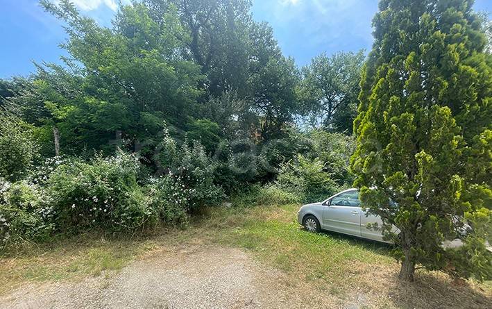 terreno agricolo in vendita a Poggibonsi