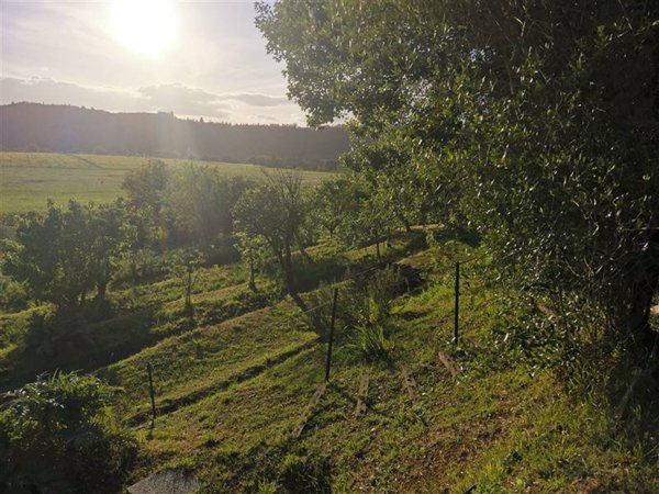 terreno agricolo in vendita a Poggibonsi