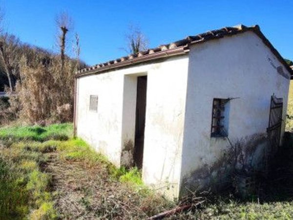 terreno agricolo in vendita a Poggibonsi in zona Staggia Senese