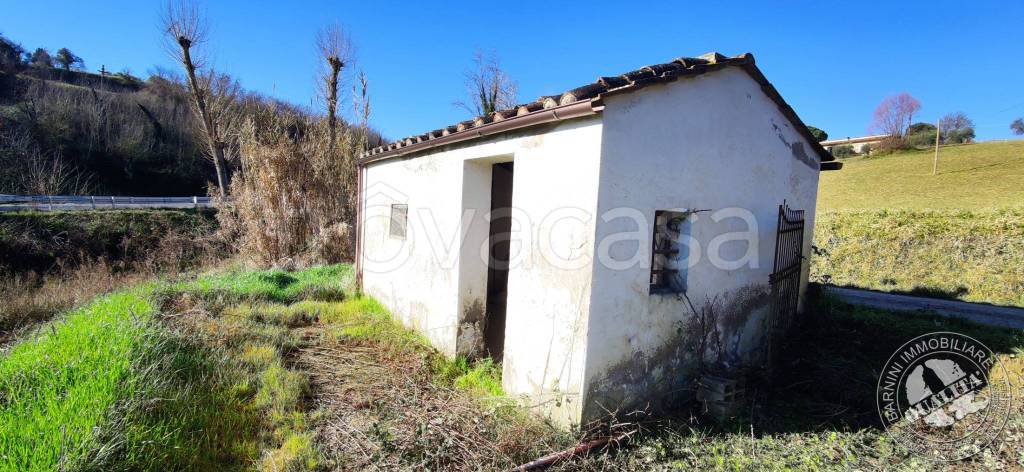 terreno agricolo in vendita a Poggibonsi in zona Staggia Senese