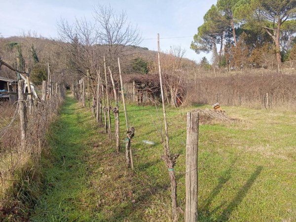 terreno agricolo in vendita a Poggibonsi in zona Bellavista