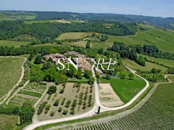azienda agricola in vendita a Poggibonsi