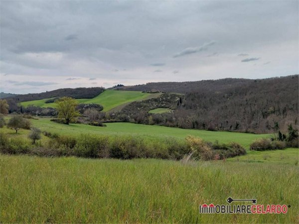 terreno agricolo in vendita a Poggibonsi