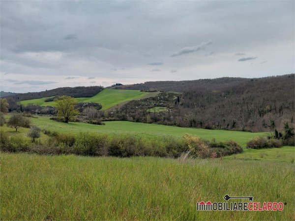 terreno agricolo in vendita a Poggibonsi