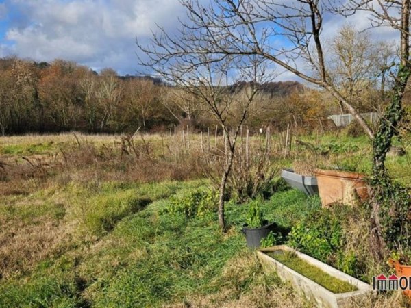 terreno agricolo in vendita a Poggibonsi in zona Staggia Senese