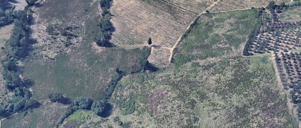 terreno agricolo in vendita a Poggibonsi in zona Cipressino