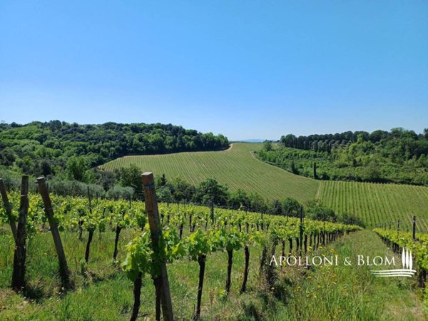 terreno agricolo in vendita a Poggibonsi