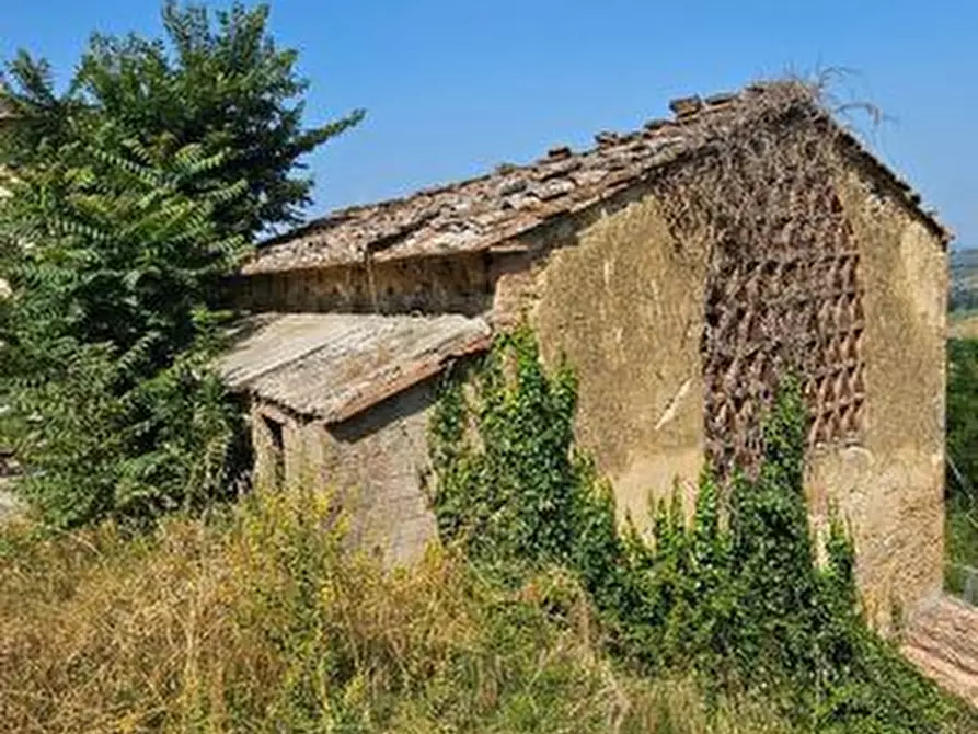 azienda agricola in vendita a Poggibonsi