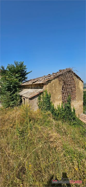 negozio in vendita a Poggibonsi