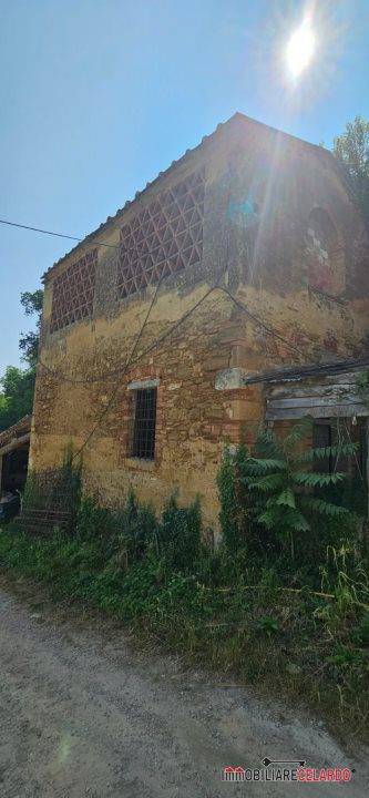 azienda agricola in vendita a Poggibonsi