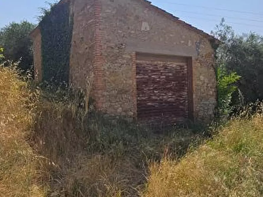 azienda agricola in vendita a Poggibonsi