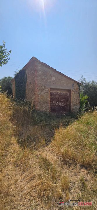 azienda agricola in vendita a Poggibonsi in zona Campomaggio